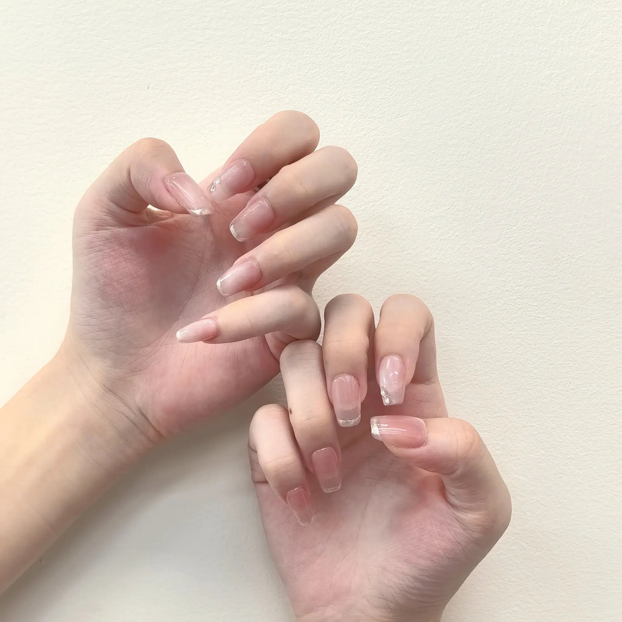 Juliet’s Velvet Rose - Image 2