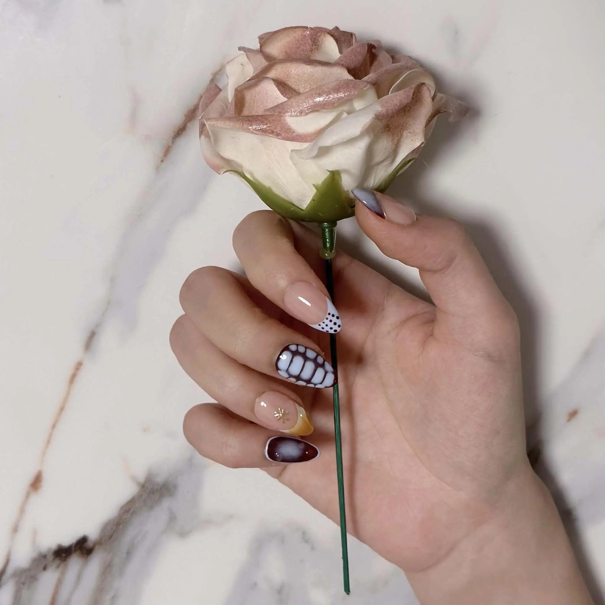 Chimera’s Amber Mosaic - Image 4