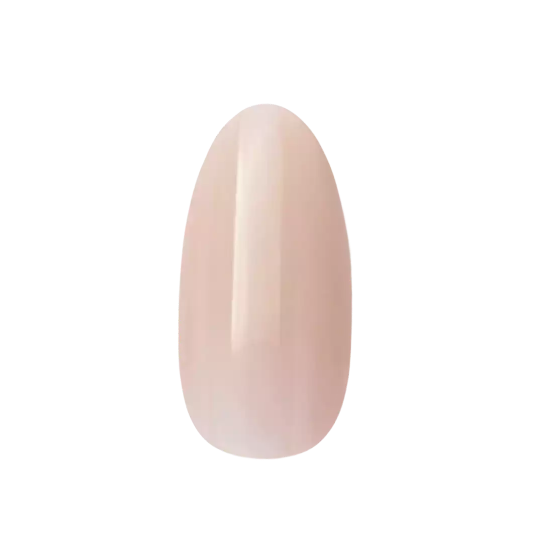 Almond_1.webp