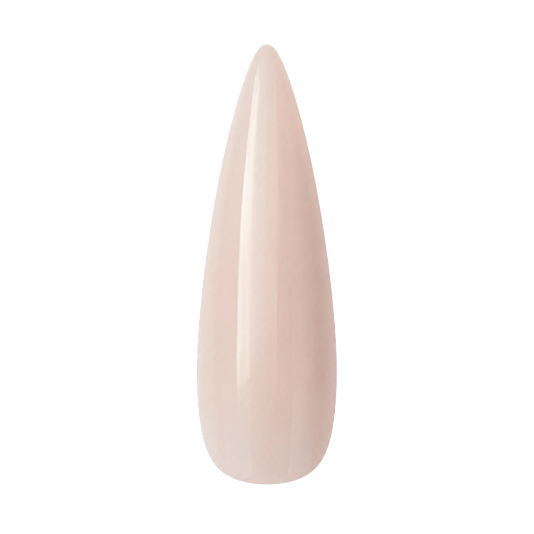 oval_01_webp.png